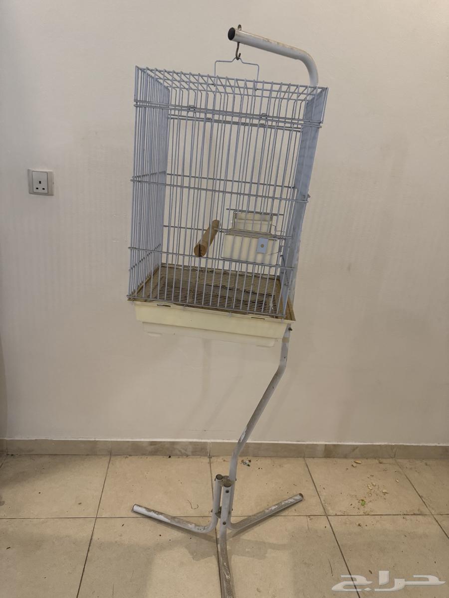 قفص مع ستاند64268904374914110