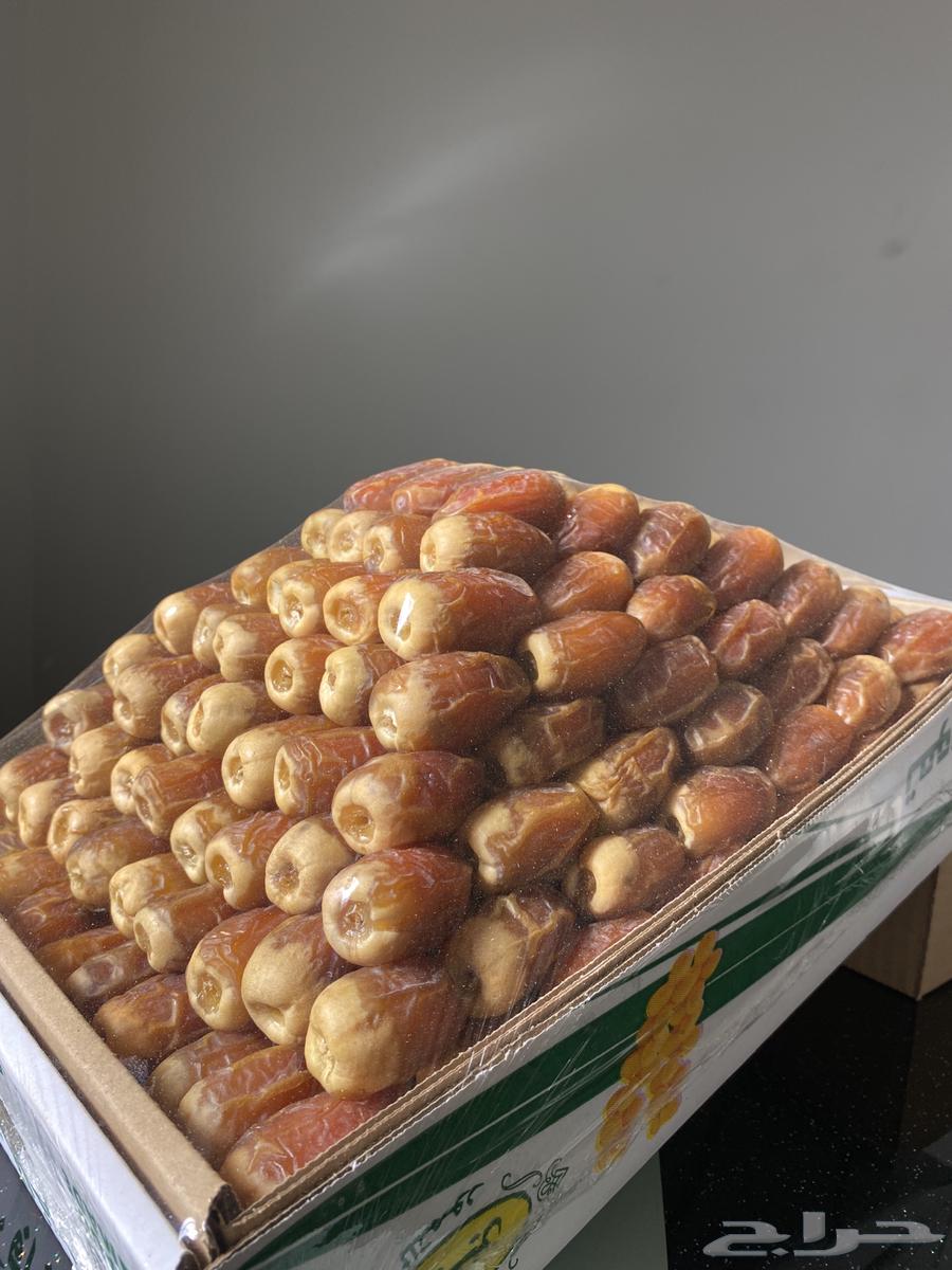 Premium Dates64271984199810110