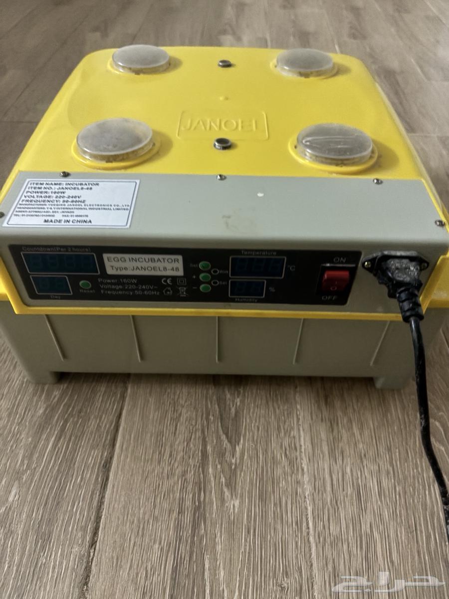 الله يحيي الجميع فقاسه 60 بيضه سليمه مابها شي 27064263536154497111