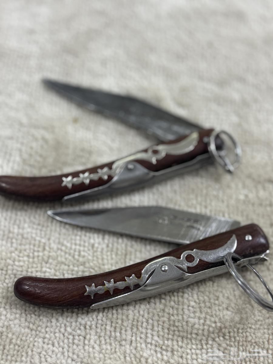 اوكابيات افريقية64419824545027110