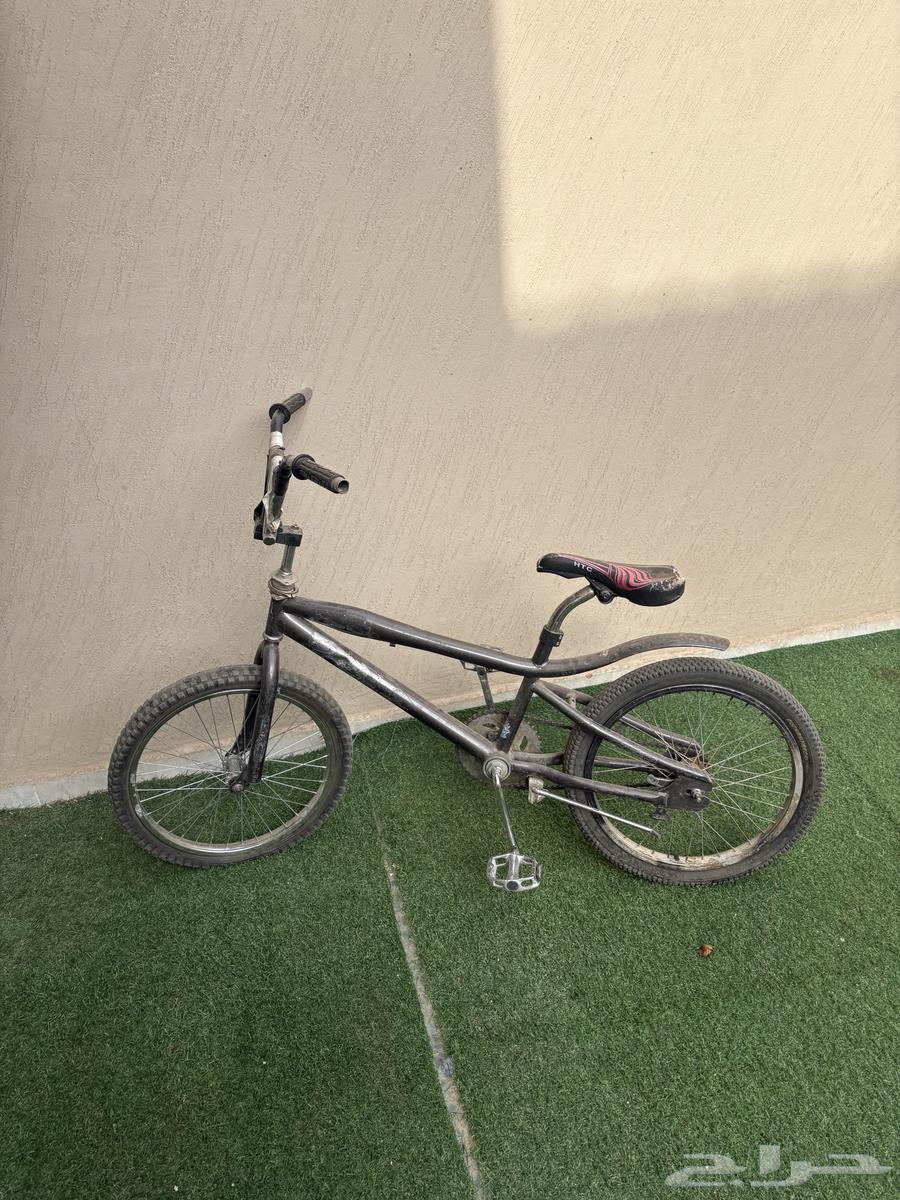 بسكليت كوبرا جنط 2064270835521923110