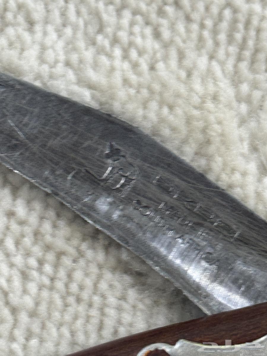 اوكابيات افريقية64419824545027112