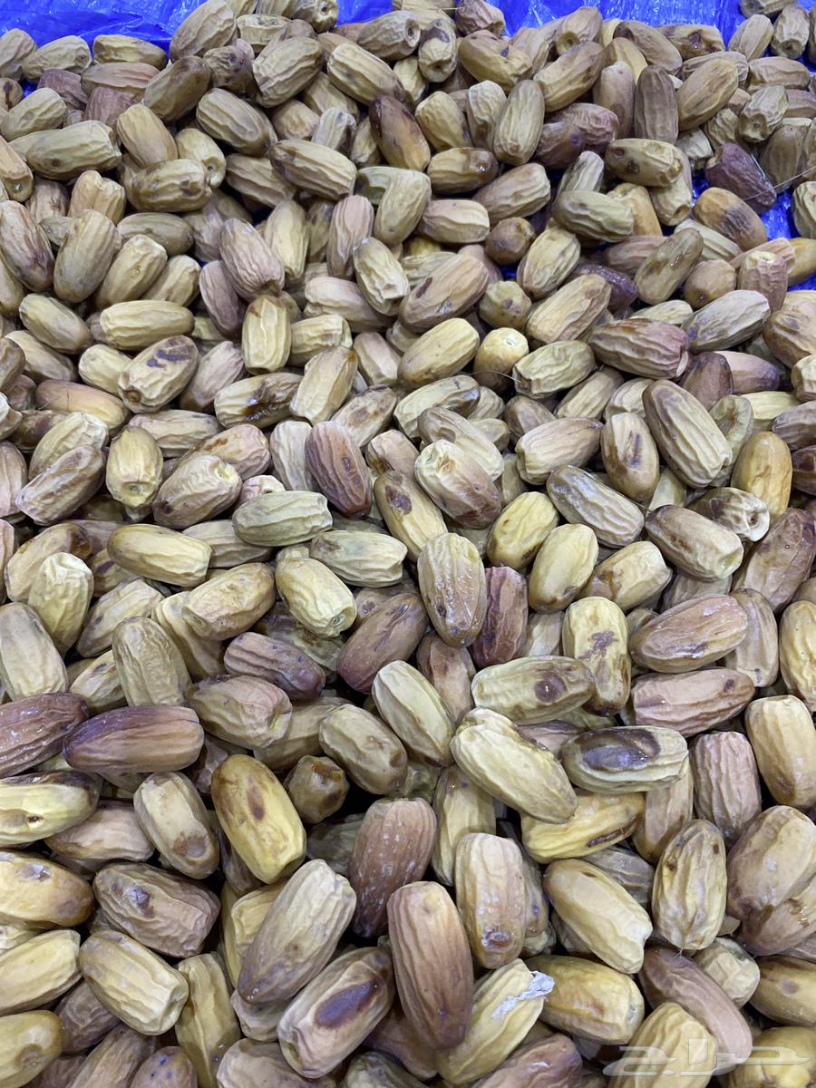 تمر بياض64273497488643111