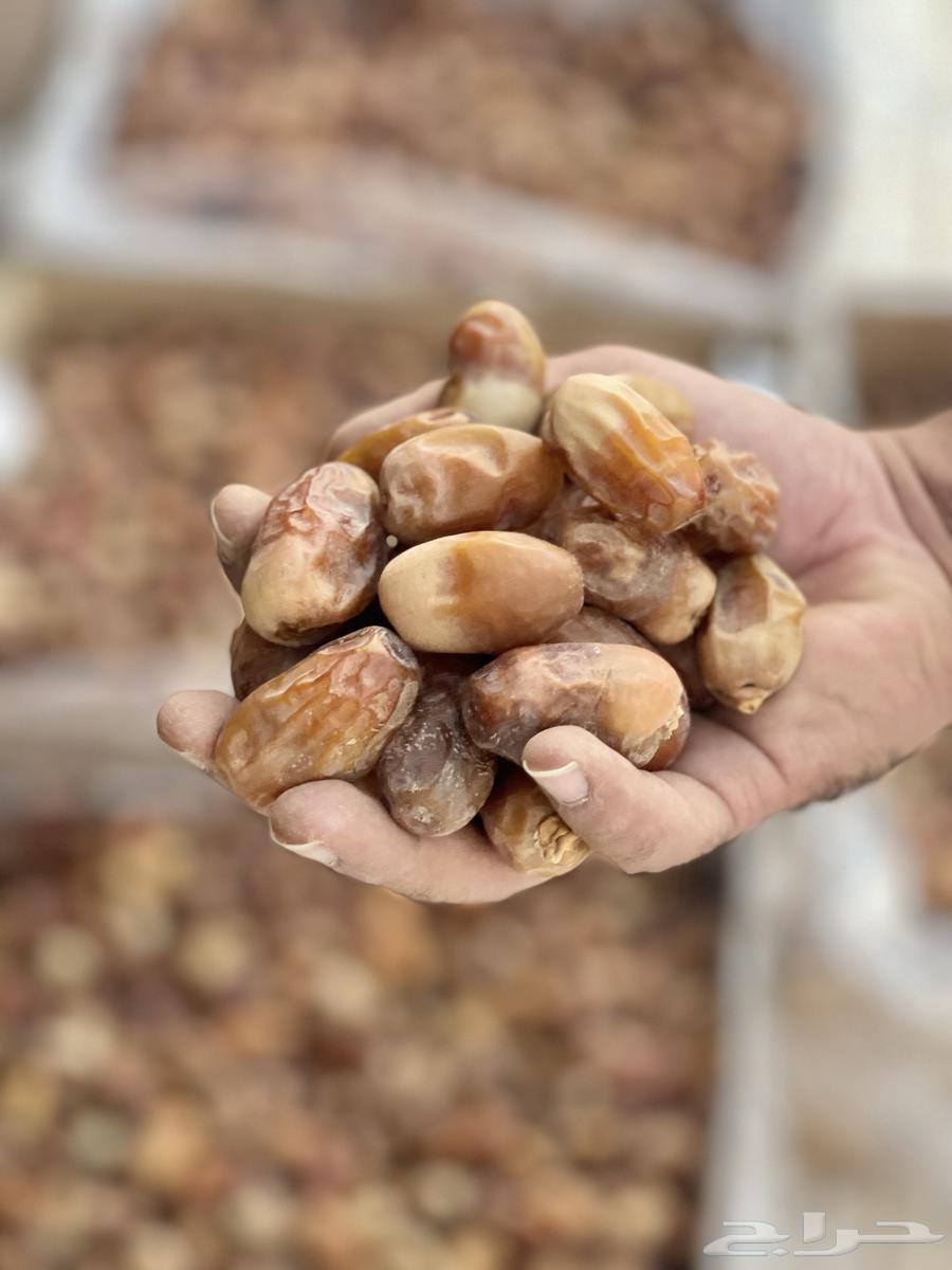 Tamr (Khalas)64266854252291110