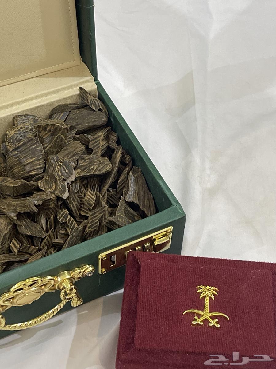 عود تايقر فيتنامي64257902549890114