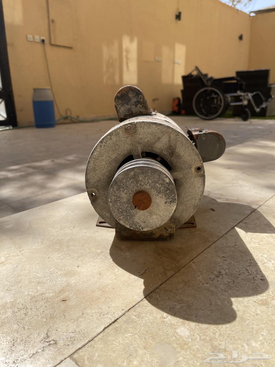 دينامو صحراوي حصان كامل سبب البيع شرينا صحراوي جديد64267891336451111