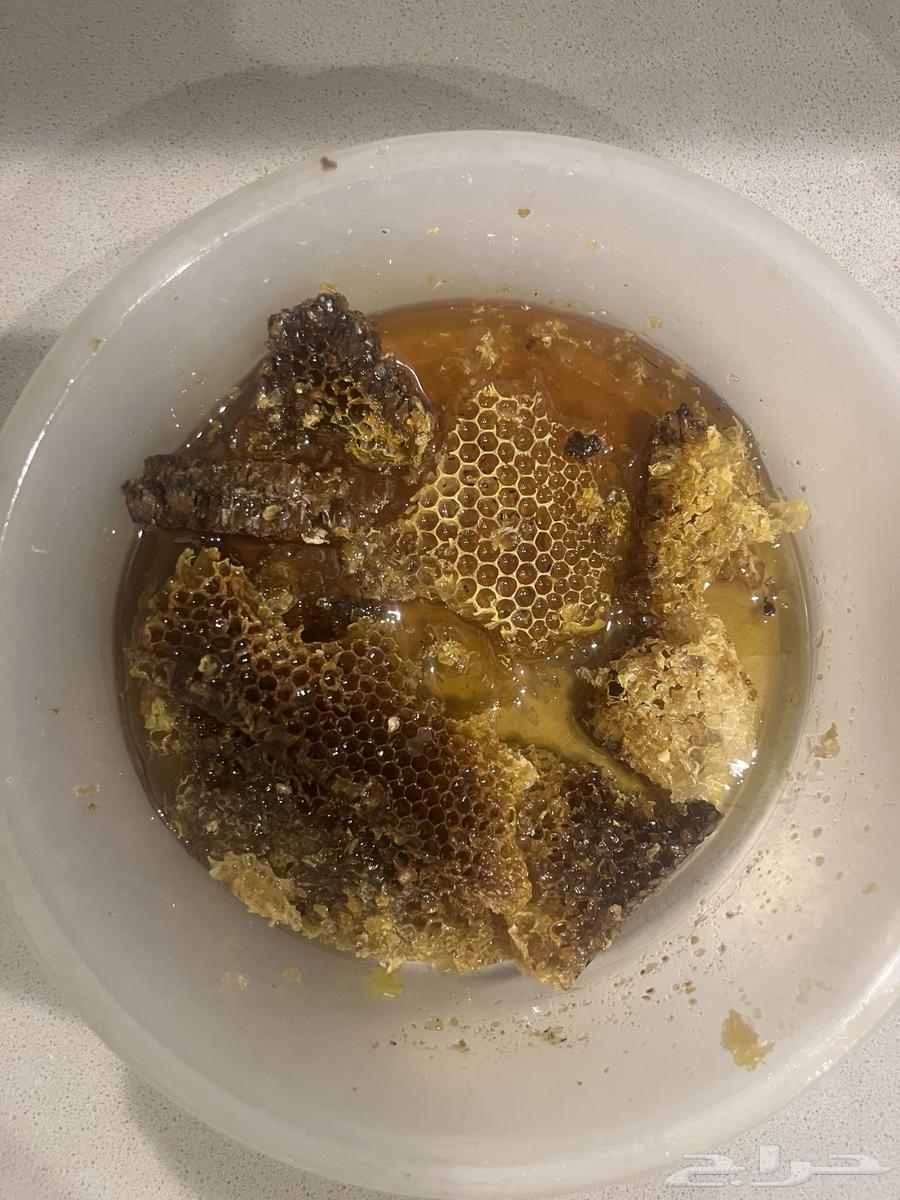 عسل طلح طلحة للبيع شمع64256760479873111