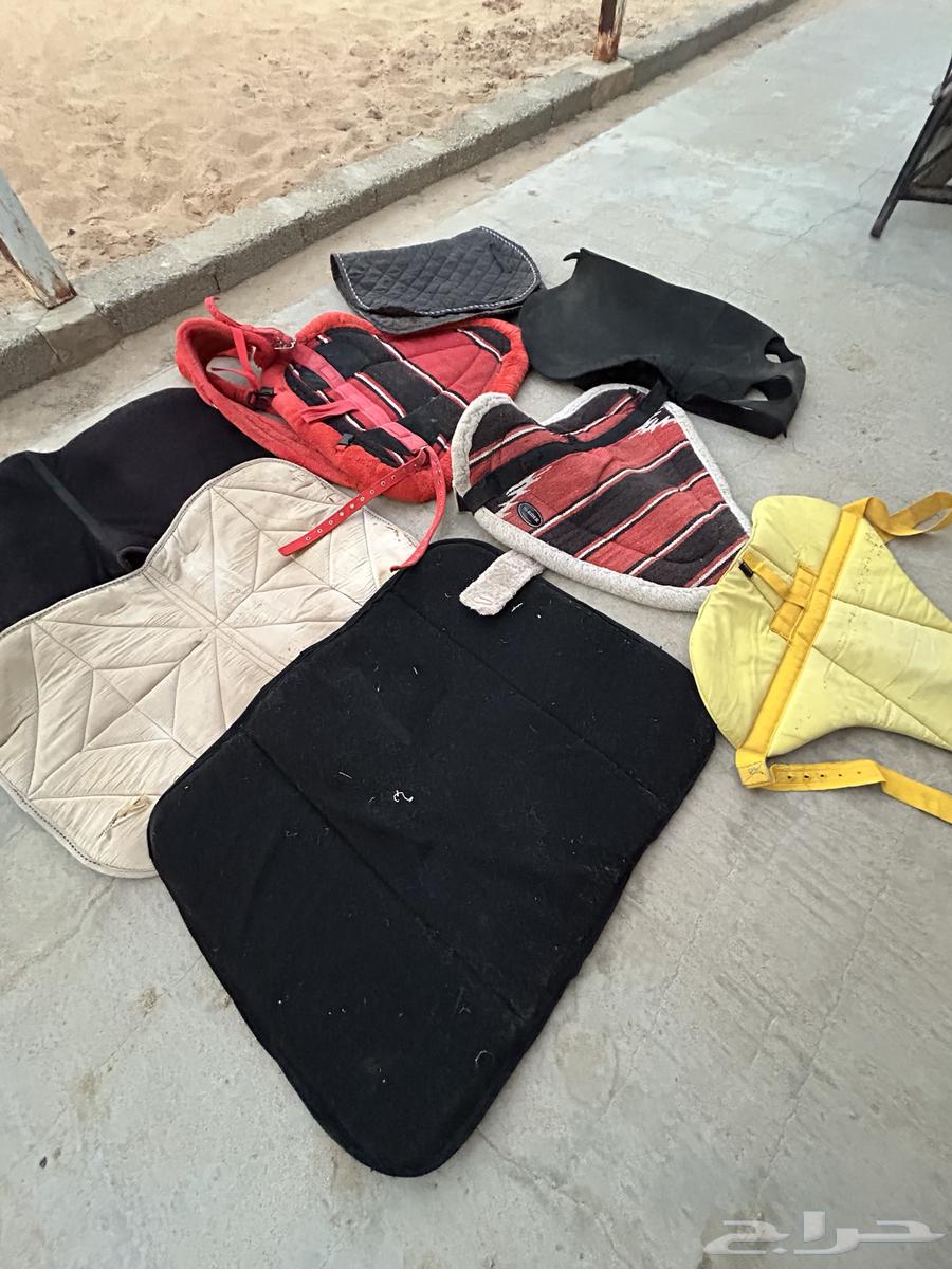 مستلزمات خيل مستعمله64275956245250114