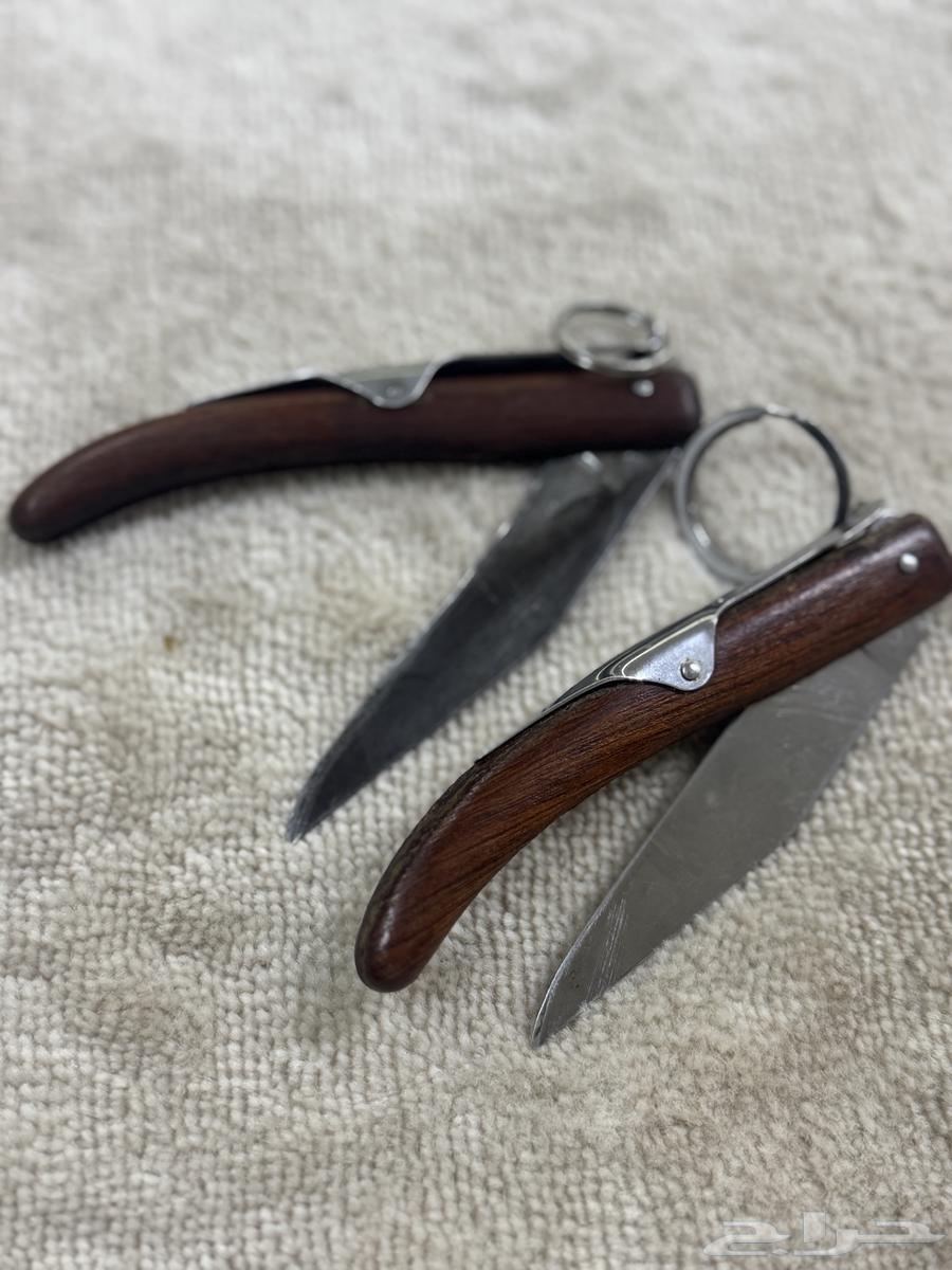 اوكابيات افريقية64419824545027114