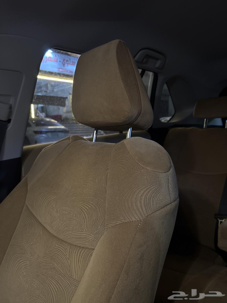 راف فور هايبرد 202564428026409475113