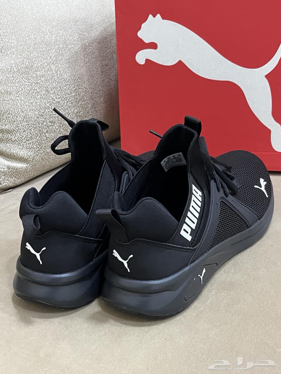 حذاء بوما انزو2..أصلي64260407849090112
