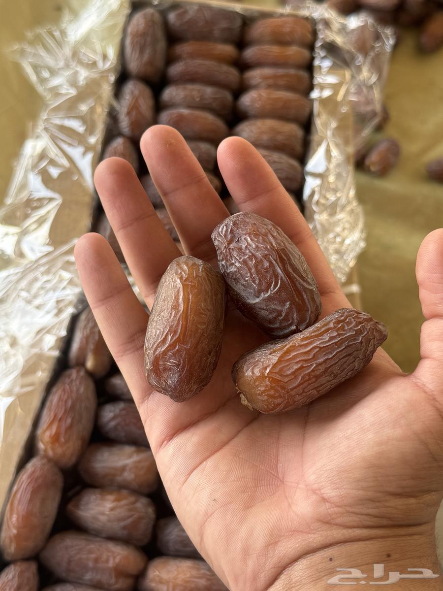 للبيع تمر مجدول فاخر جدا انتاج خاص64263909725187112