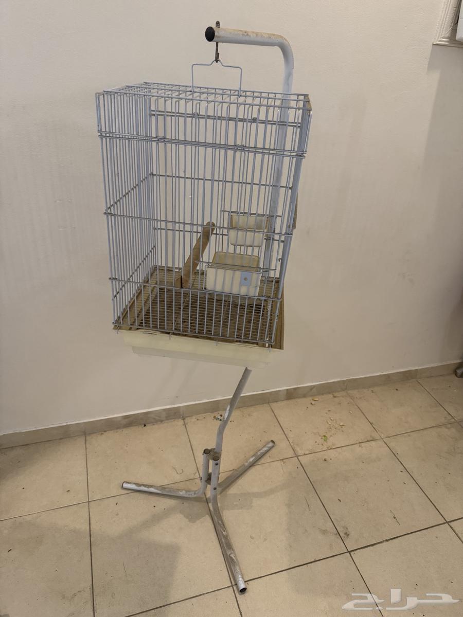 قفص مع ستاند64268904374914111