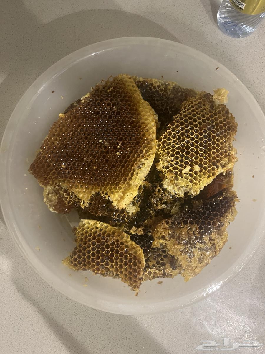 عسل طلح طلحة للبيع شمع64256760479873112