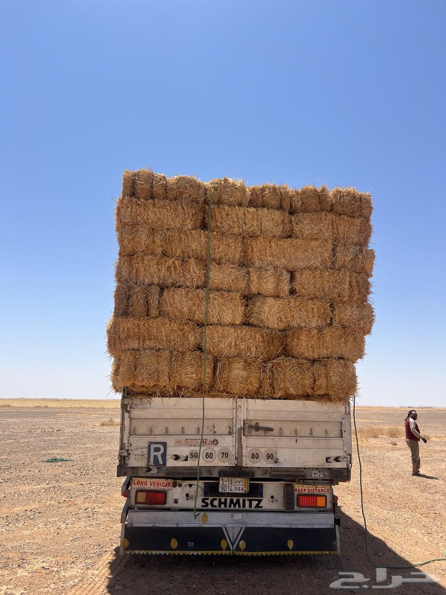 الدفع عند الاستلام64266487849859112