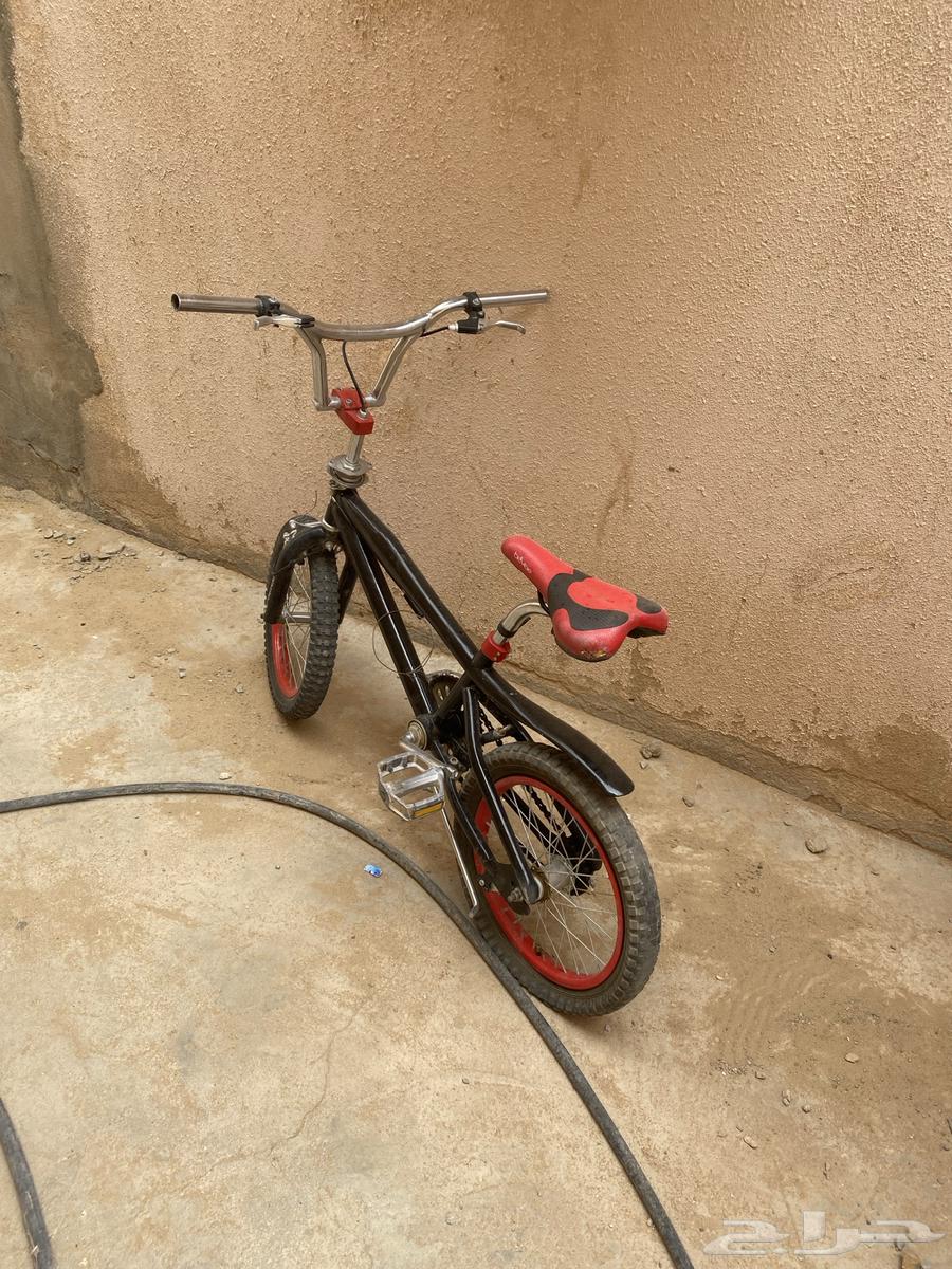 سيكل كوبرا  الخربان فيه كفرة بس64261855241346111