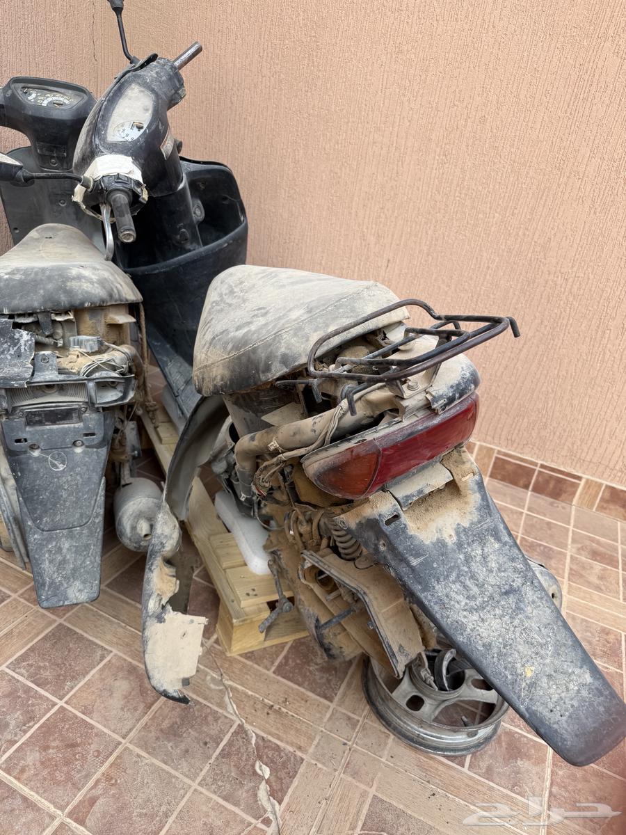 دباب بطه64373742640641114