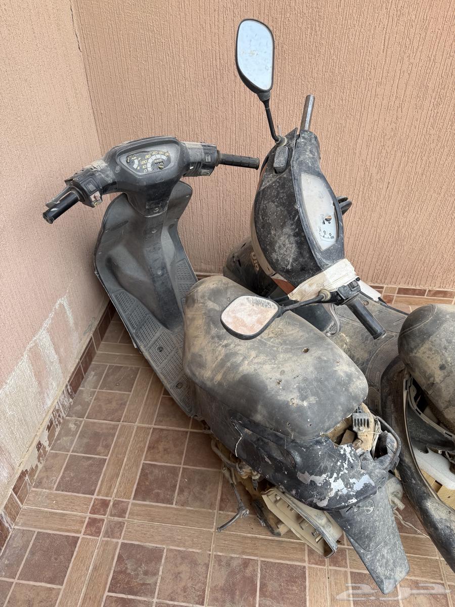 دباب بطه64373742640641112