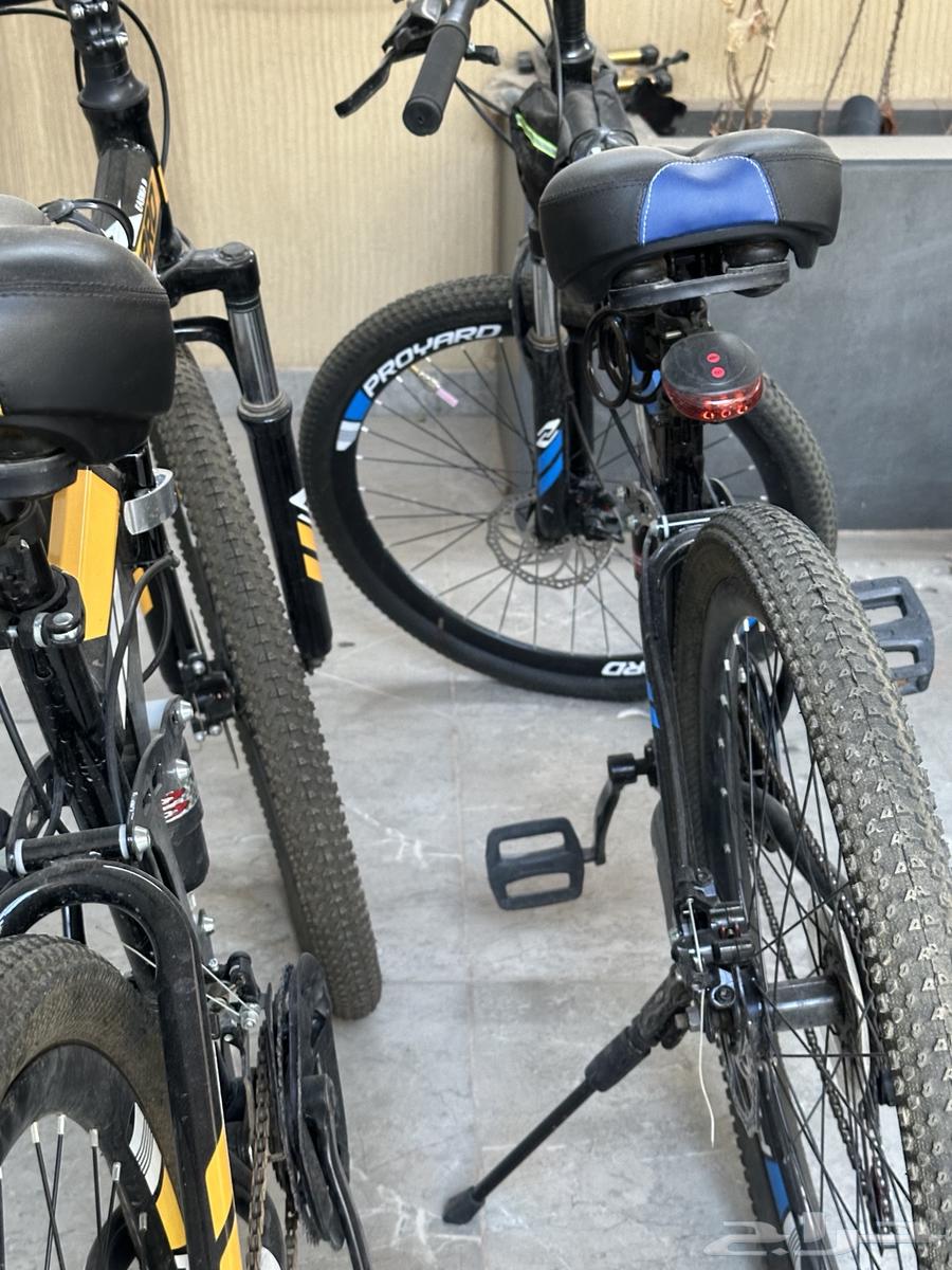 سياكل هجينه64526092438018114