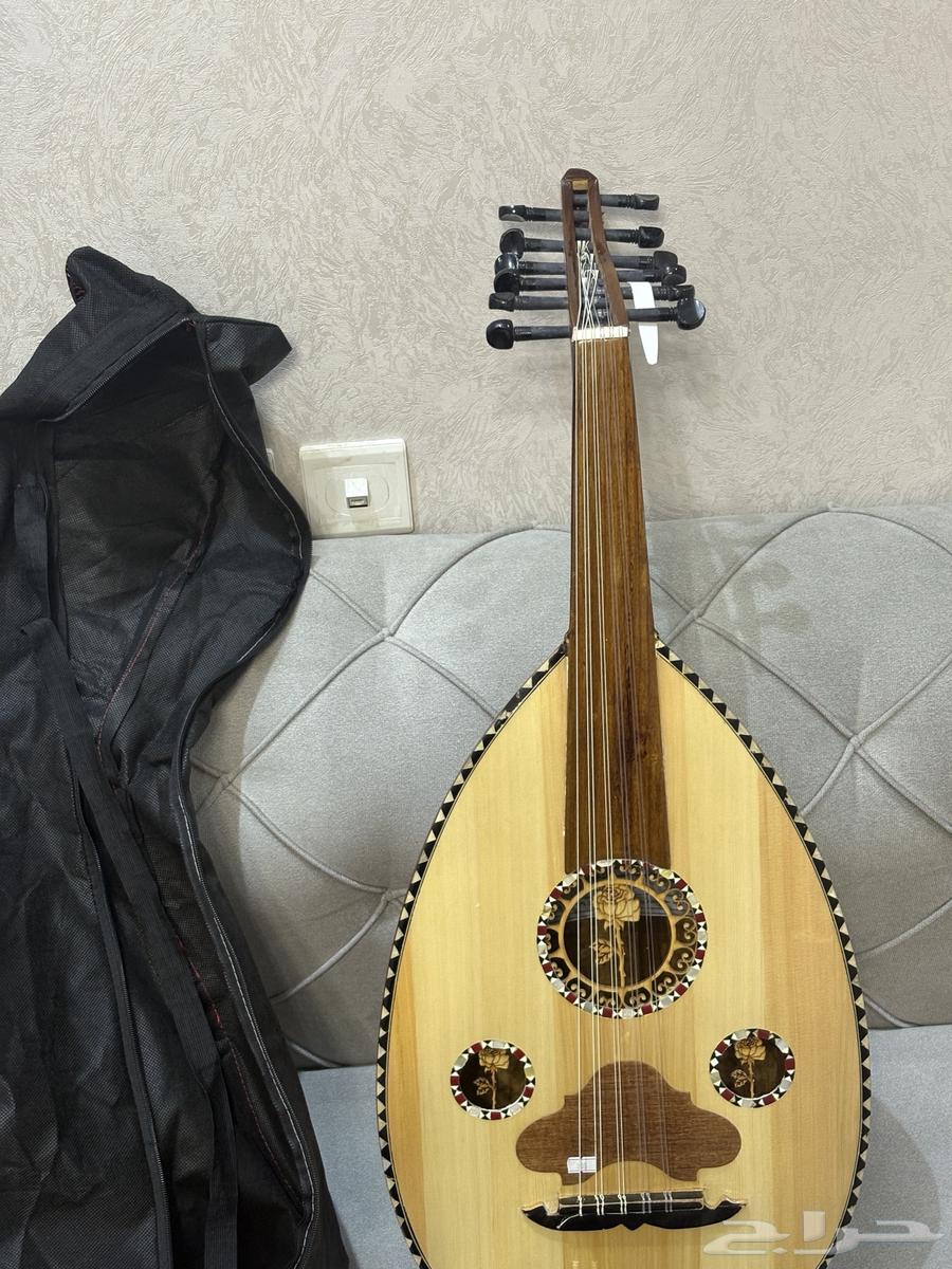 للبيع عود مصري64262701273859110