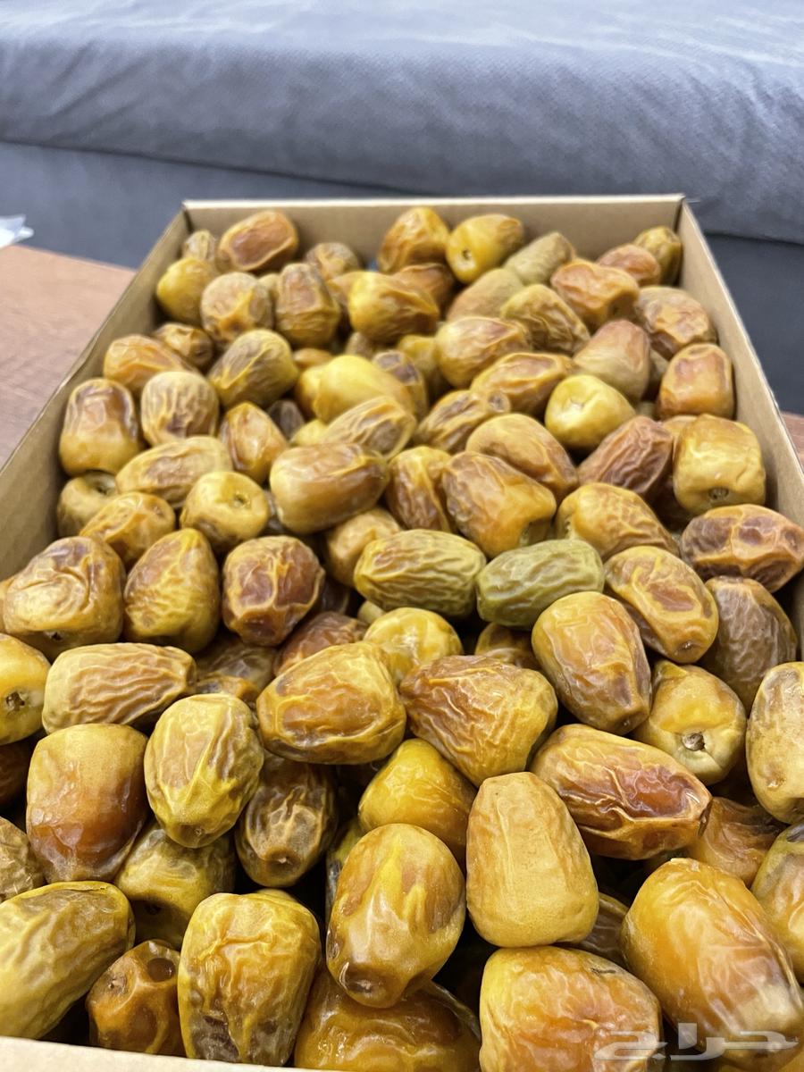 Luxury Sugary Dates64262020964865110