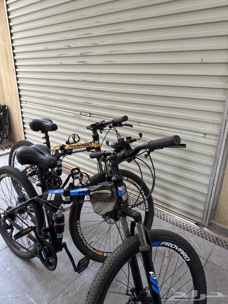 سياكل هجينه64526092438018111