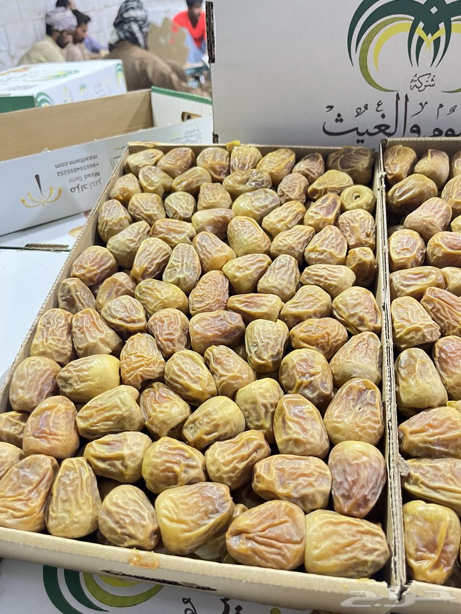 Al-Qassim Dates Sukkari Maftee and Galaxy64267530981378110