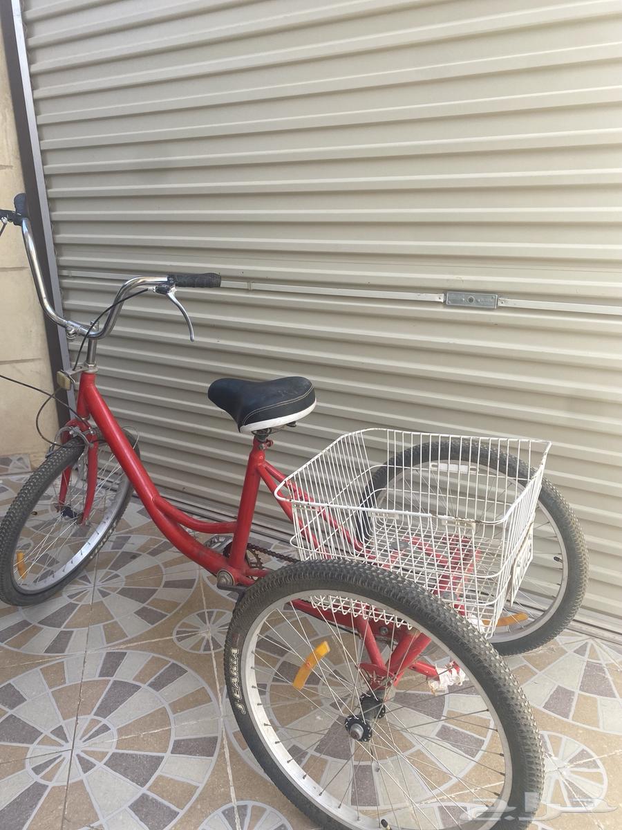 سيكل ابو سله64256760159618110