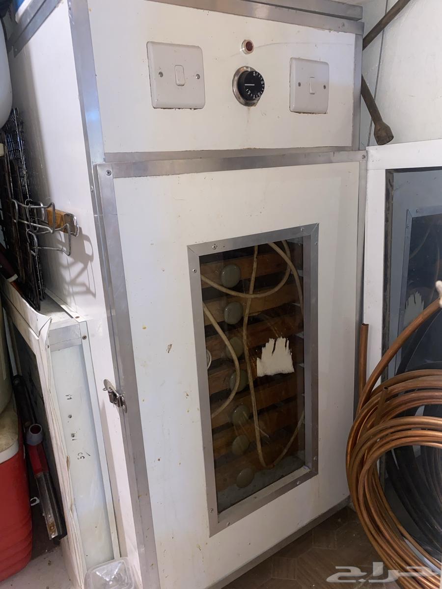 Manual incubator hatches more than 1000 eggs64262517284865112