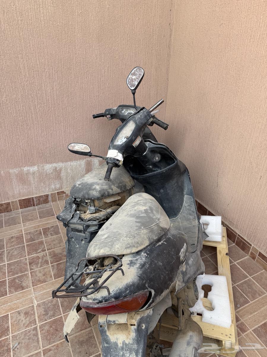 دباب بطه64373742640641111