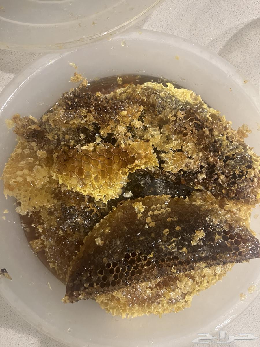 عسل طلح طلحة للبيع شمع64256760479873110