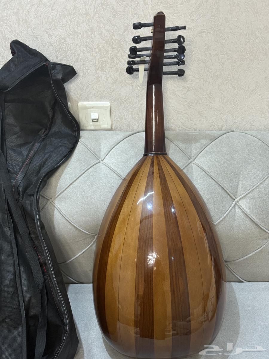 للبيع عود مصري64262701273859111