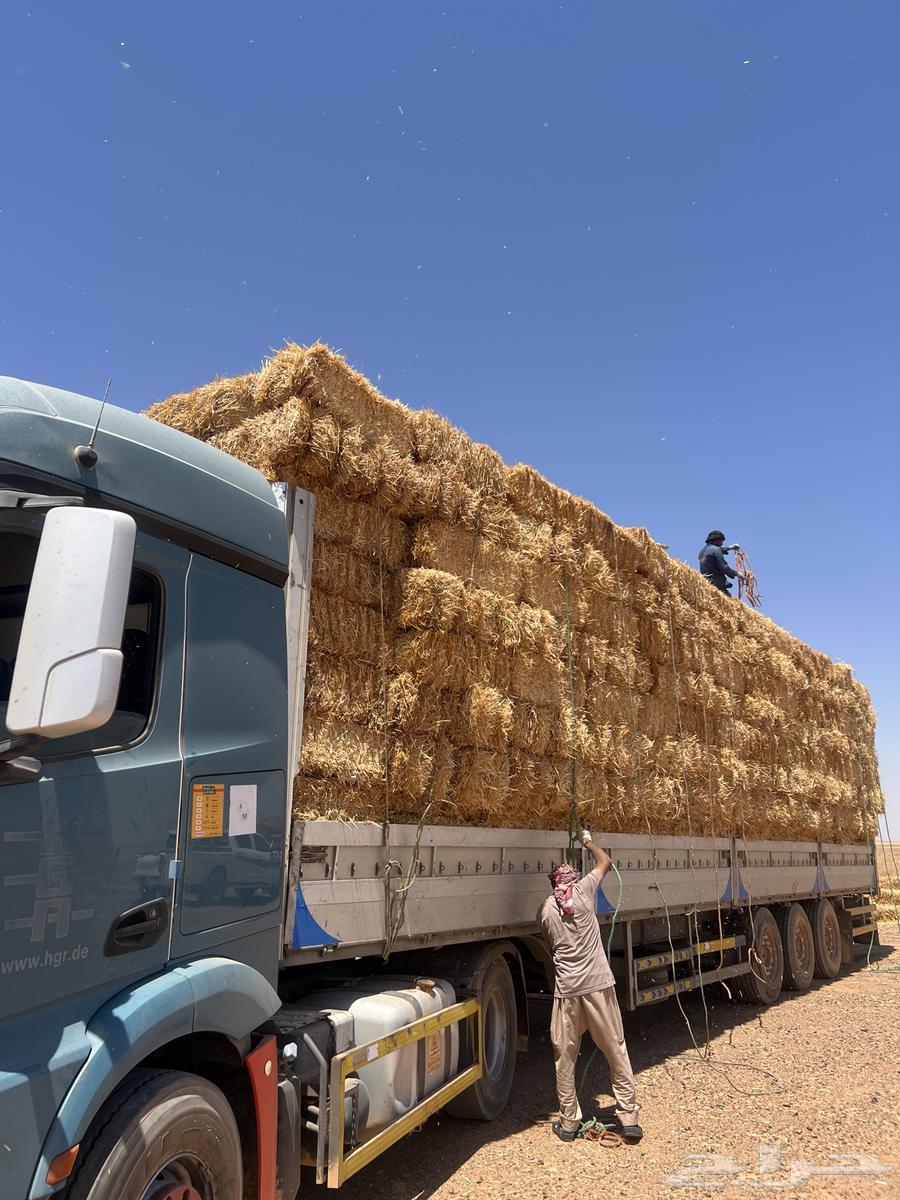 الدفع عند الاستلام64266487849859111