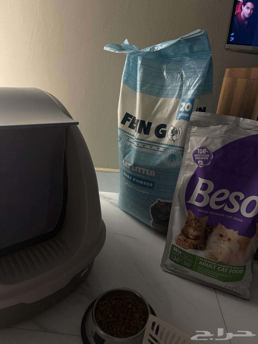 ليتر بوكس واكل قطط64288455133826112