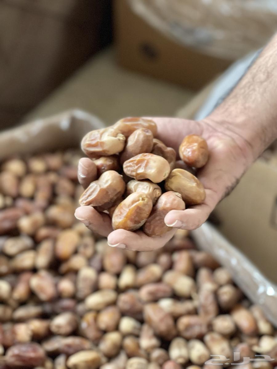 Tamr (Khalas)64266854252291113