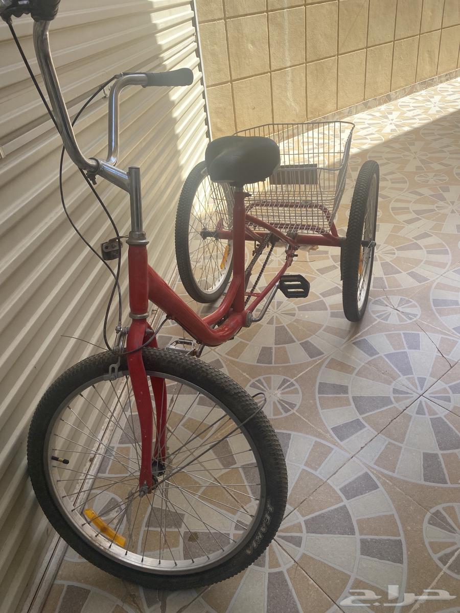 سيكل ابو سله64256760159618111