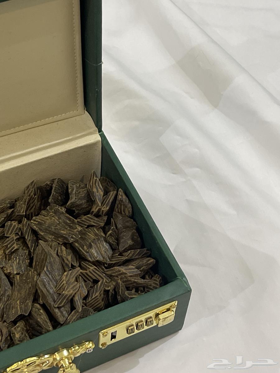 عود تايقر فيتنامي64257902549890112