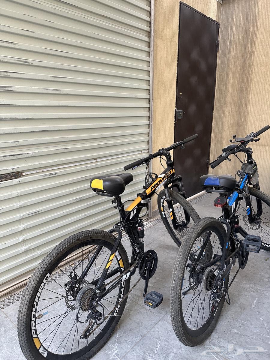 سياكل هجينه64526092438018110