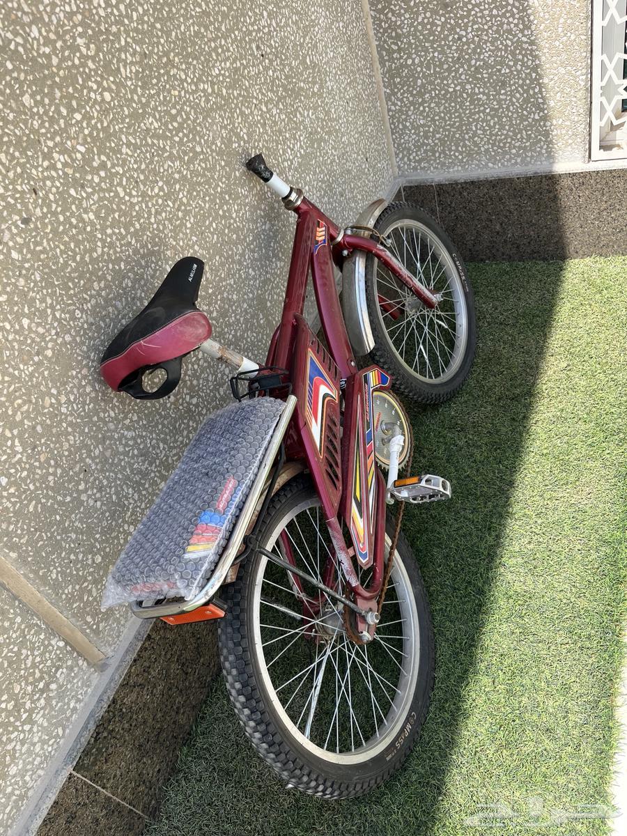 سيكل رامبو مقاس 2064264096533761110