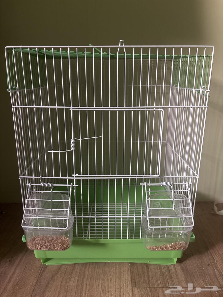 قفص بادجي64273166069891110