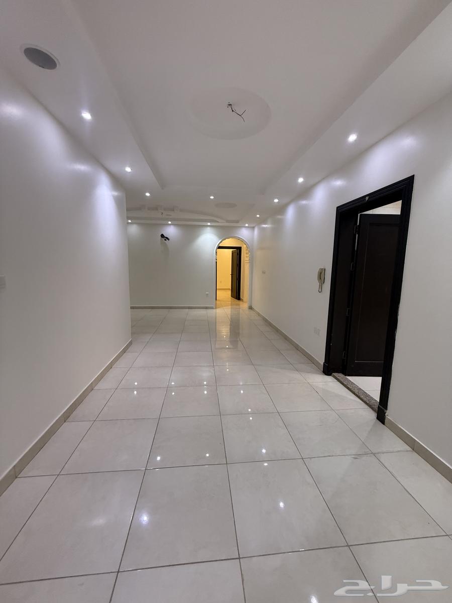 شقة للإيجار