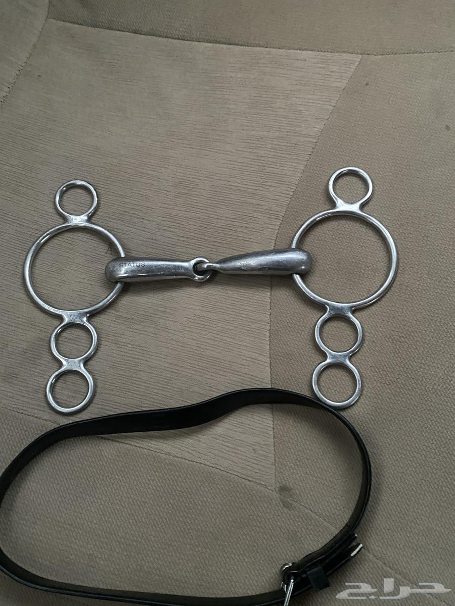 شكيمه حلقات معها حناكه64260028229635110