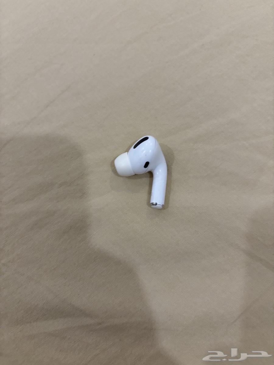 سامعه ابل البيع64273179848834112