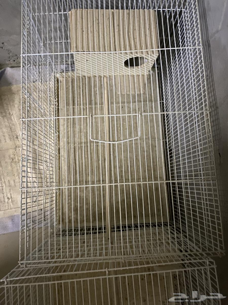 7 أقفاص 60164260786516866110