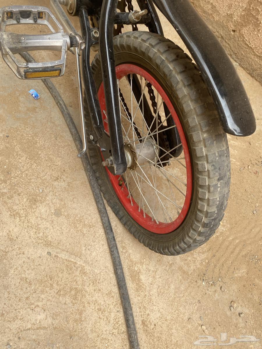 سيكل كوبرا  الخربان فيه كفرة بس64261855241346110