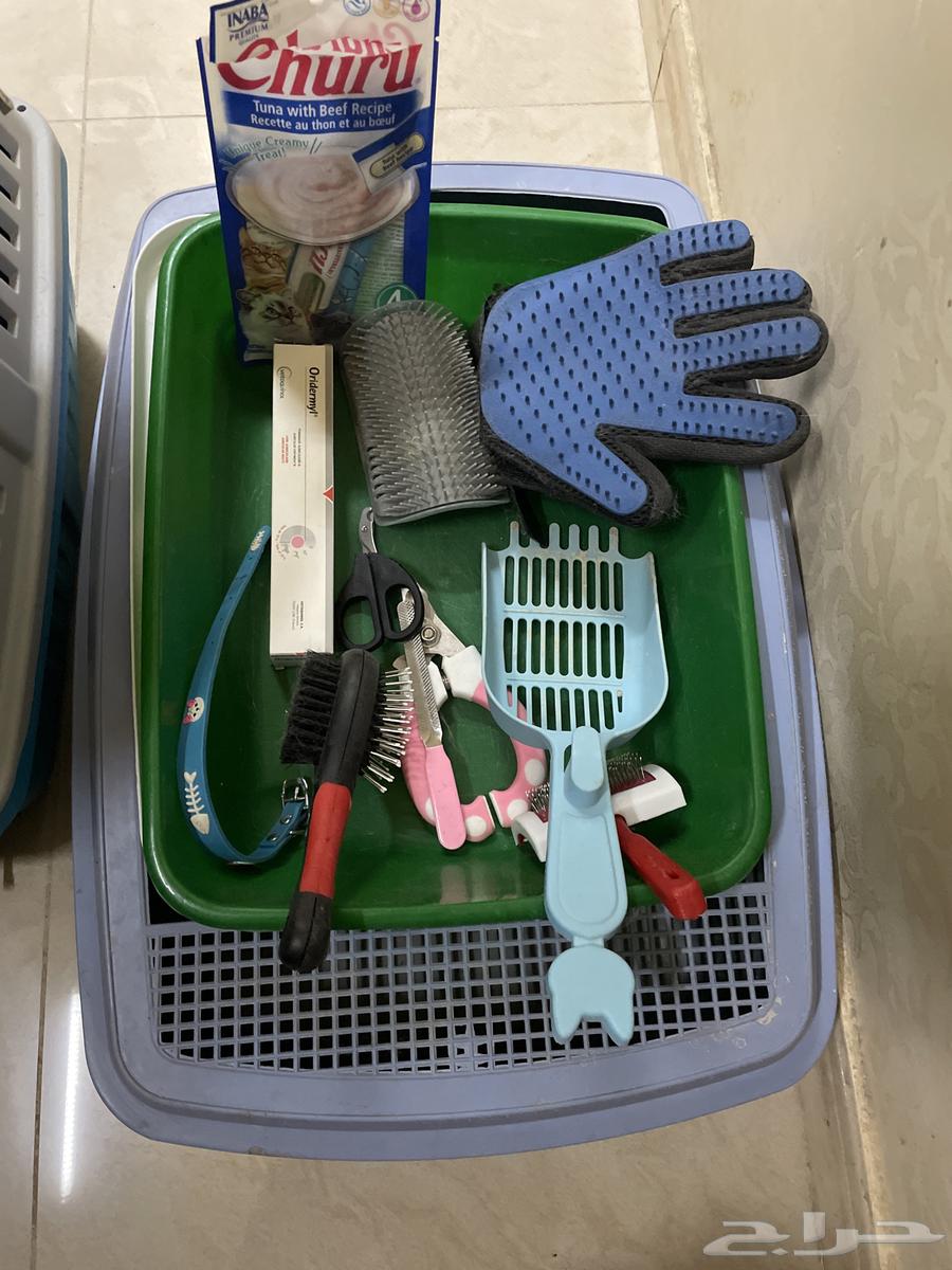 أدوات متفرقة للعناية بالقطط64256924592898111