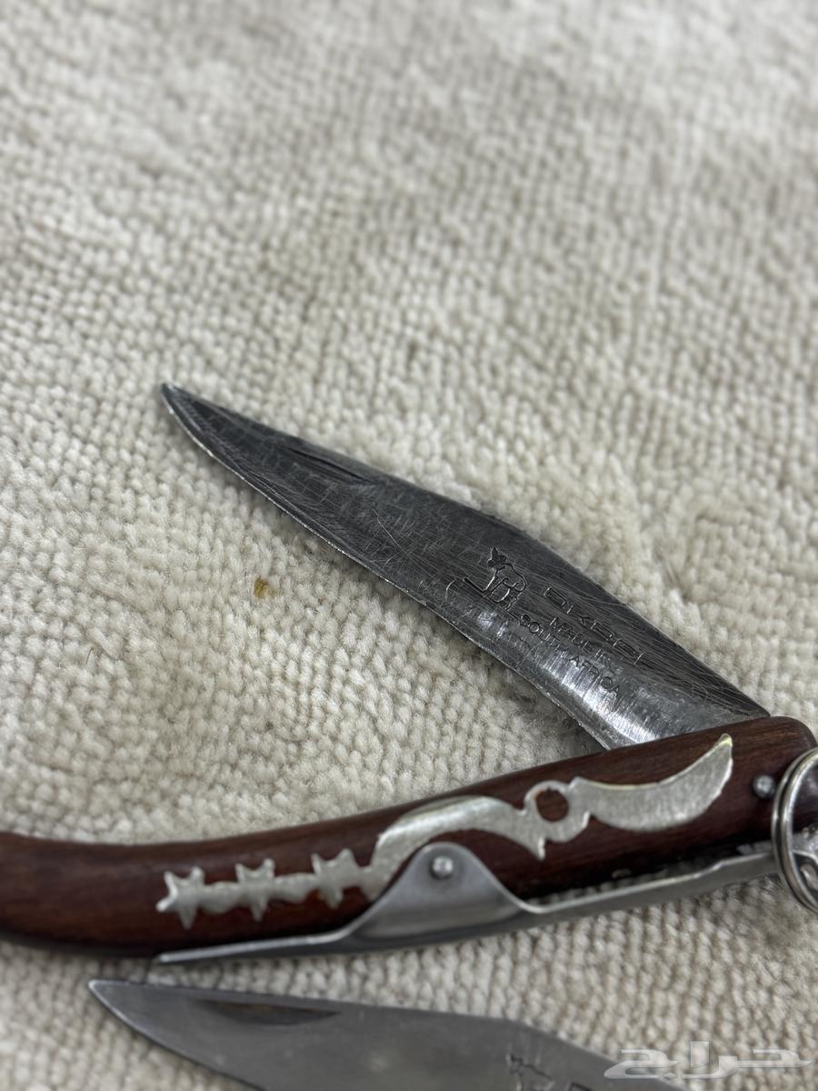 اوكابيات افريقية64419824545027111