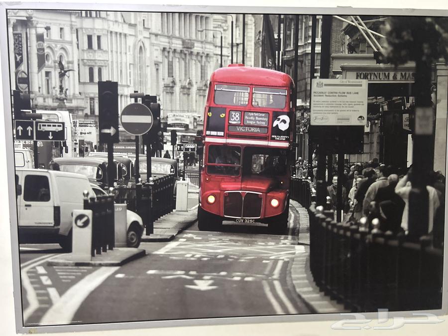 لوحة جدار باص في شوارع بريطانيا64260041139203111