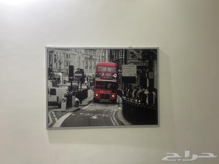 لوحة جدار باص في شوارع بريطانيا64260041139203110