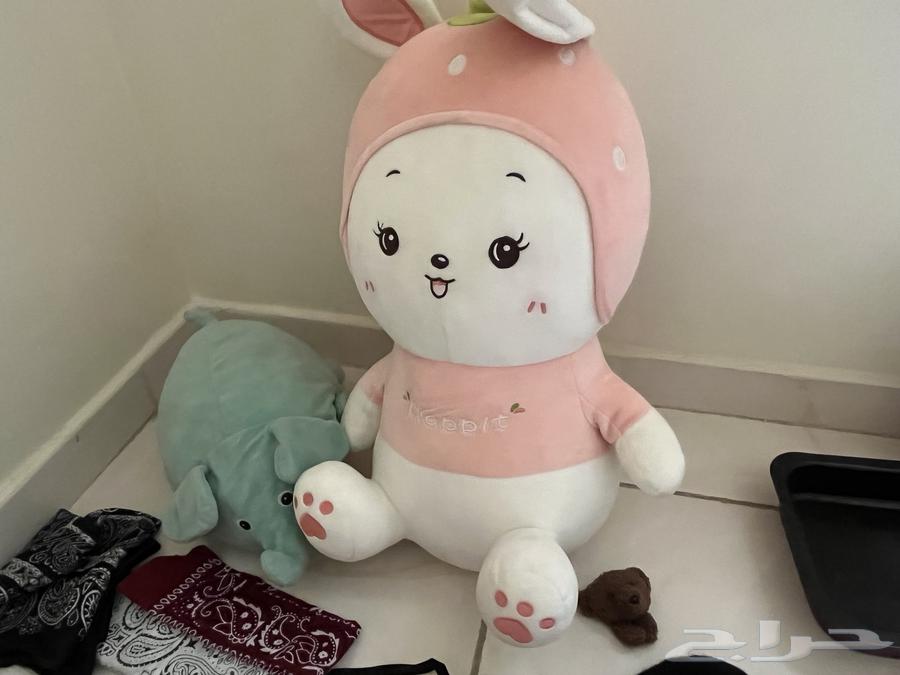 مستلزمات مطبخ   العاب   اكسسوارات64265165815809112